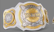 There's only a singular tag team championship introduced